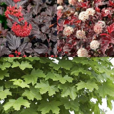 Комплект ОСЕННИЙ КОСТЕР в Москве