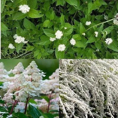 Комплект СКАНДИНАВСКИЙ СТИЛЬ в Москве